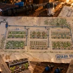 Schéma arrosage automatique goutte goutte : plan d’arrosage goutte à goutte